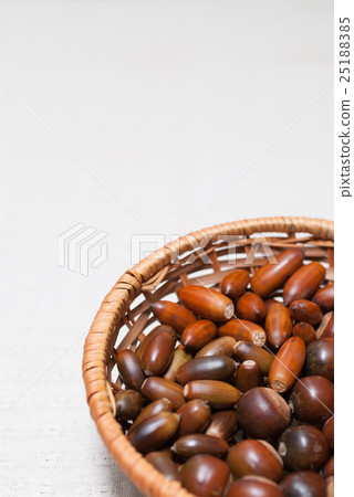 Acorns (Konugi, Konara, Matebushi) 25188385