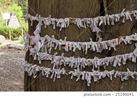 Takeda Hachiman Shrine 25190041