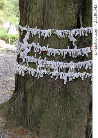 Takeda Hachiman Shrine 25190042