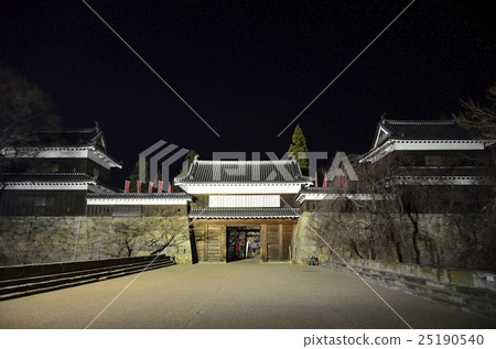 Japan 100 Great castle Ueda castle at night 25190540
