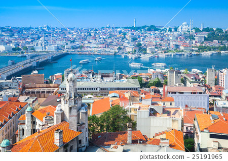 Istanbul, Turkey. Summer cityscape with bridge 25191965
