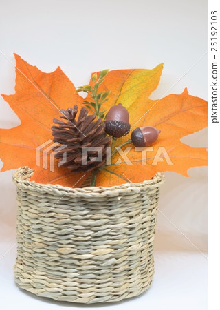Autumn leaves 25192103