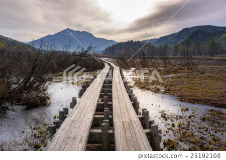 融雪的濕地 25192108