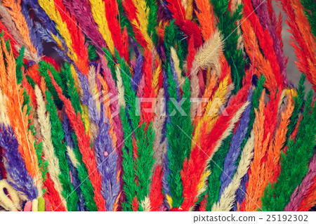 Easter palms on main market of Krakow 25192302