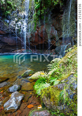 Waterfall Levada das 25 fontes, Madeira Island 25192356