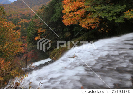 Autumn leaves of Yu Takigaki 25193328
