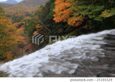 Autumn leaves of Yu Takigaki 25193329