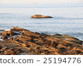 海邊 25194776
