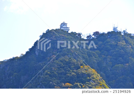 金閣山和岐阜城堡（岐阜縣岐阜縣）的城堡塔 25194926