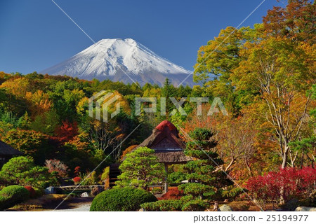 Oshino village in autumn and Mt. Fuji 25194977