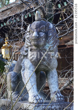 空手道獅子(京都市北野區/上京區) 空手道獅子(京都市北野區/上京區) 25195516