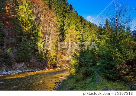 river flows by rocky shore near the autumn river flows by rocky shore near the autumn 25197518
