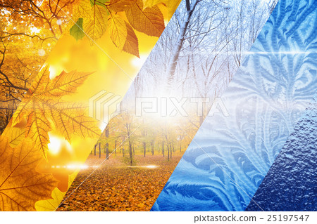 Fall turns to winter 25197547