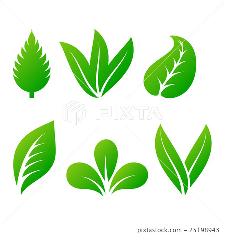 Leaf icon vector illustration. 25198943