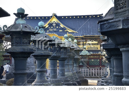 Ueno Toshogu Shrine 25199883