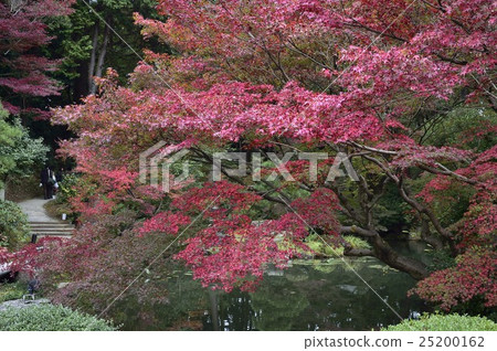 Kim Eiwa Komyoji Temple Japanese Garden 25200162