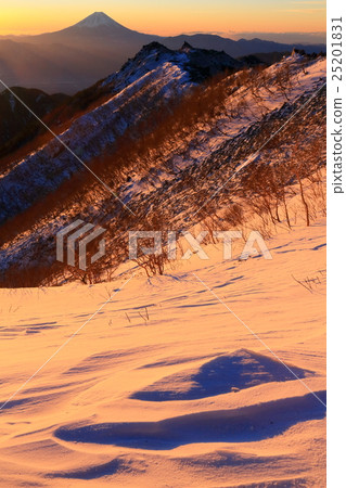 Mt. Fuji from Mt. Miyake and Mt. Kannon at dawn and Yakushiyake Mt. Fuji from Mt. Miyake and Mt. Kannon at dawn and Yakushiyake 25201831
