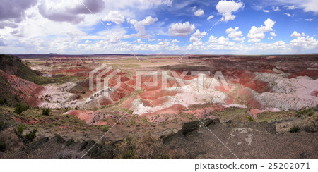 Painted Desert Painted Desert 25202071