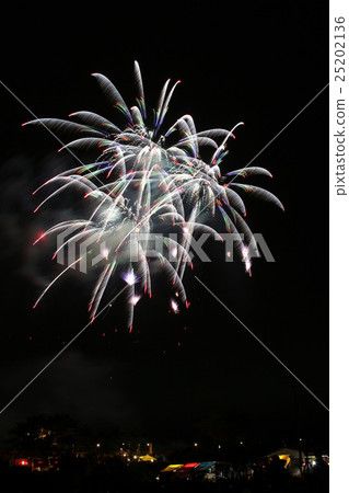 Tsuchiura National Fireworks Games Star Mine 25202136