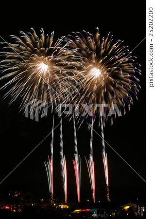 Tsuchiura National Fireworks Games Star Mine 25202200