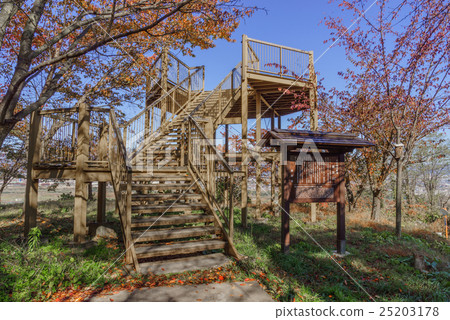 在妻子和山建造的觀察颱風景 25203178