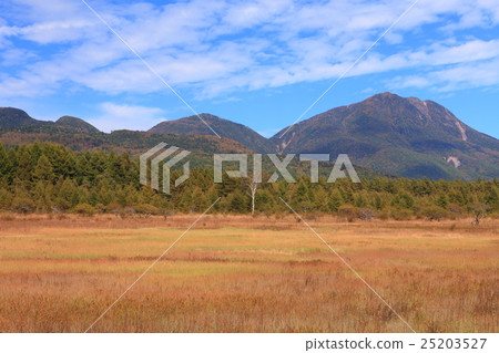 Odashiro Kagohara Grass leaves and ladies 25203527