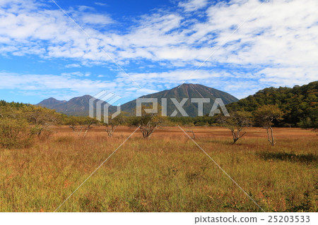 Odashiro Kagohara The autumn leaves and Mt. Odashiro Kagohara The autumn leaves and Mt. 25203533