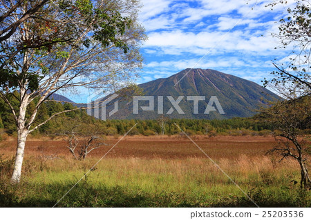 Odashiro Kagohara The autumn leaves and Mt. Odashiro Kagohara The autumn leaves and Mt. 25203536