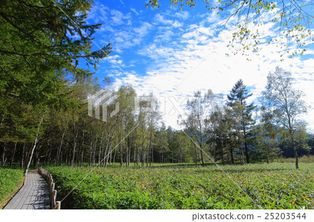 Senjogahara自然研究路（近田川田代） 25203544