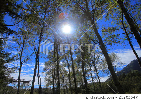 Senjogahara Nature Research Road 25203547