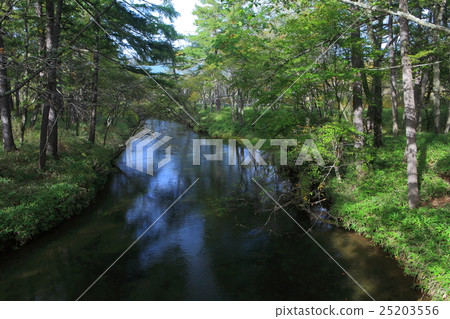 Senjogahara natural research road (Yukawa seen from Akanuma Bridge) Senjogahara natural research road (Yukawa seen from Akanuma Bridge) 25203556