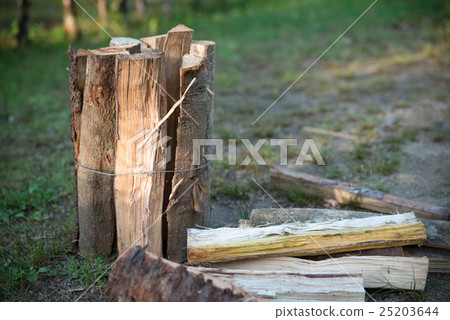 Bonfire at the camp Bonfire at the camp 25203644