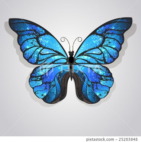 blue butterfly morpho 25203848