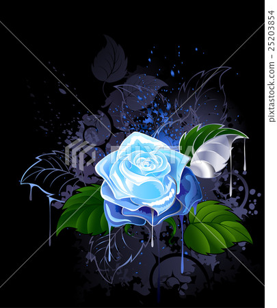 blue rose 25203854