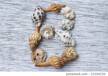 "B" of alphabet made from shells 25204230