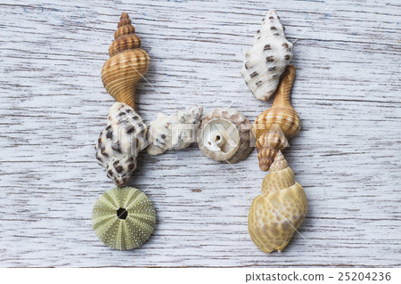 "H" of the alphabet made from shells 25204236