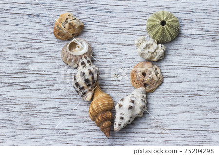 "V" of alphabet made from shells 25204298