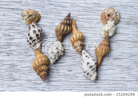 "W" of alphabet made from shells 25204299
