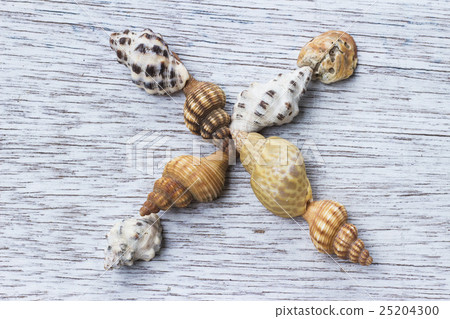The alphabet "X" made from shells 25204300