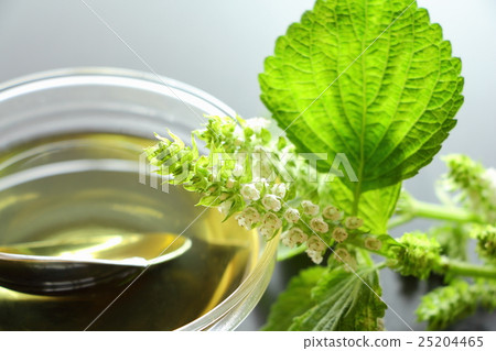 Perilla oil 25204465