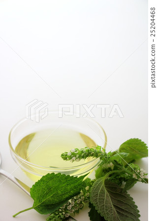 Perilla oil 25204468