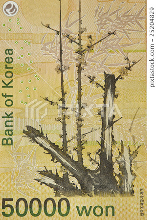 Korean won banknotes Korean won banknotes 25204829