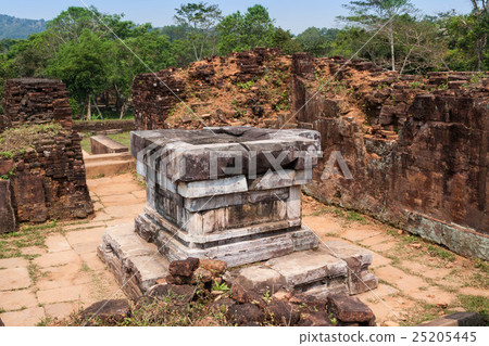 A huge Joni in Mai Son Ruins (Misson sanctuary) in central Vietnam 25205445