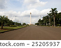 Independence Monument (Monas) 25205937