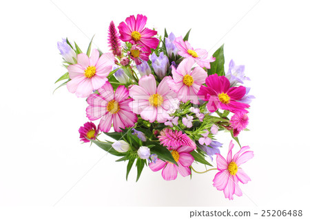 Arrangements of cosmos, nogato, gentian and nadesico (sideways from the upper left to the lower right) 25206488