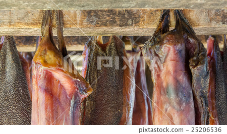 Iceland's fermented shark 25206536