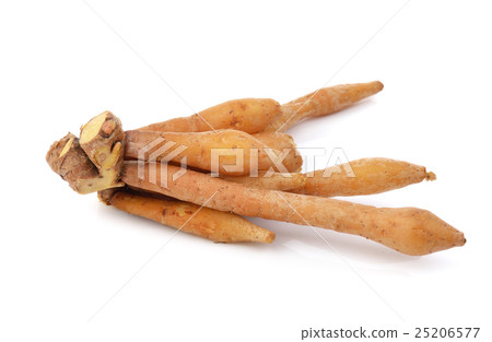 Fingerroot, Kaempfer, Boesenbergia Fingerroot, Kaempfer, Boesenbergia 25206577