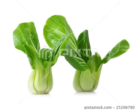 Bok choy on white background 25206780