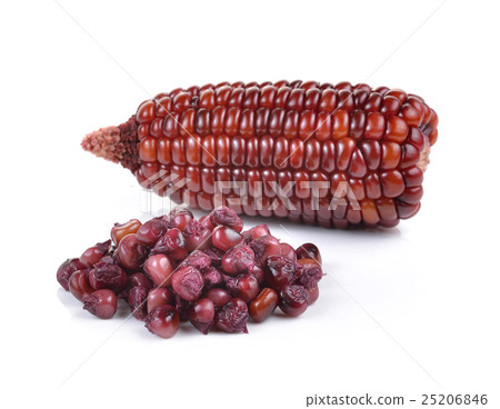 purple corn on white background purple corn on white background 25206846