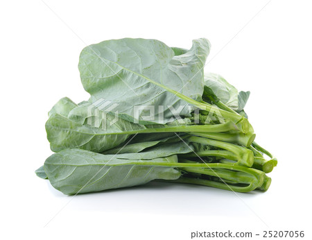 chinese broccoli on white background 25207056